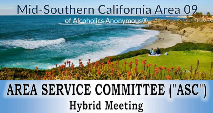 August 11, 2024, Area Service Committee (ASC)